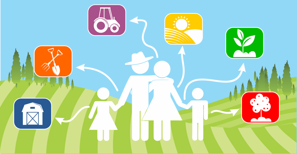 Família agricultora e atividades