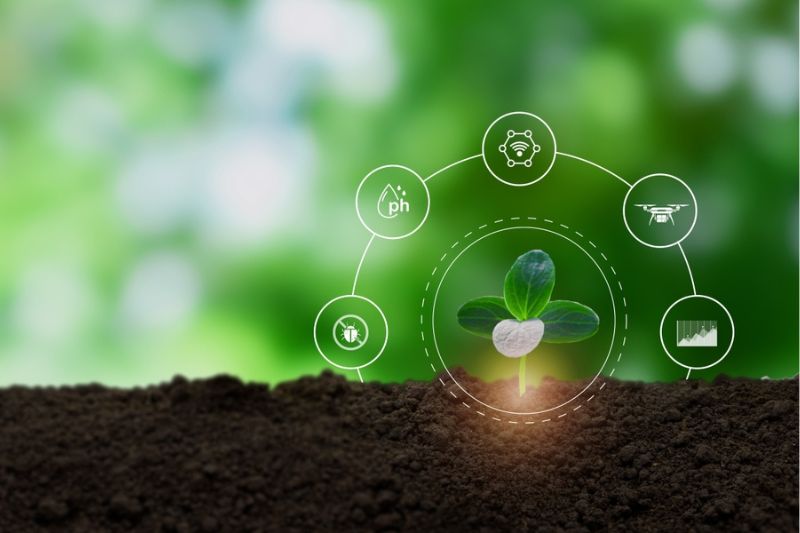 Monitoramento e análise do solo
